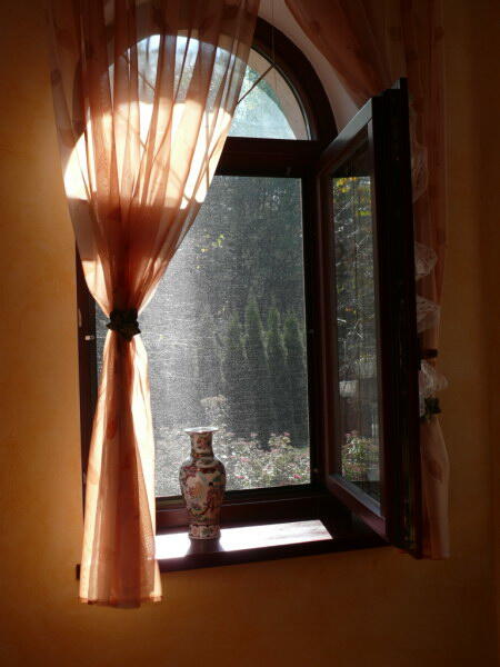 Moskitiera w oknie domowym